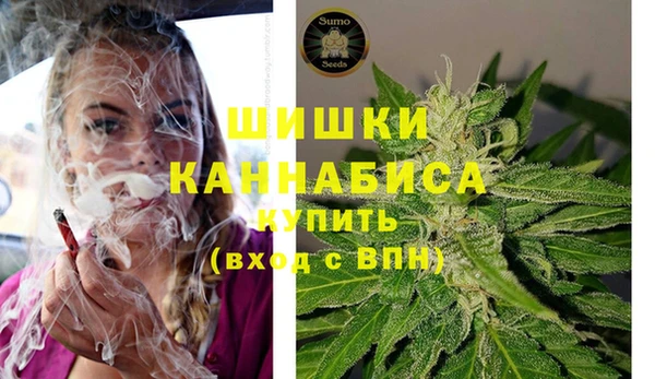 прущие грибы Баксан