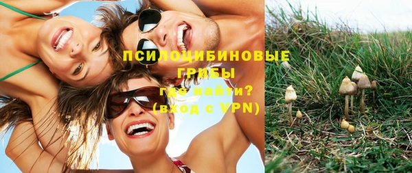 PSILOCYBIN Арсеньев
