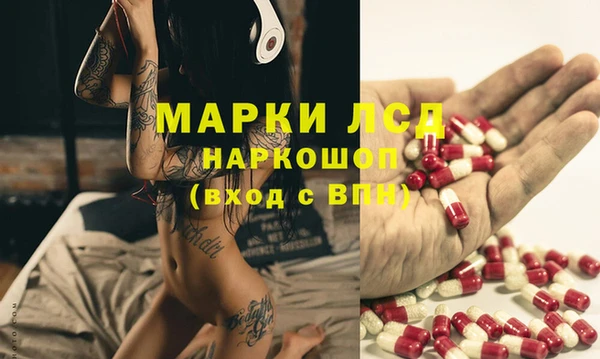 прущие грибы Баксан