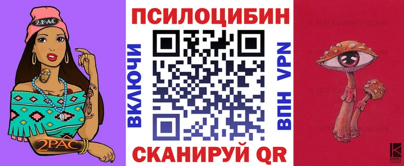 продажа наркотиков  Кунгур  МЕГА вход  Псилоцибиновые грибы прущие грибы 