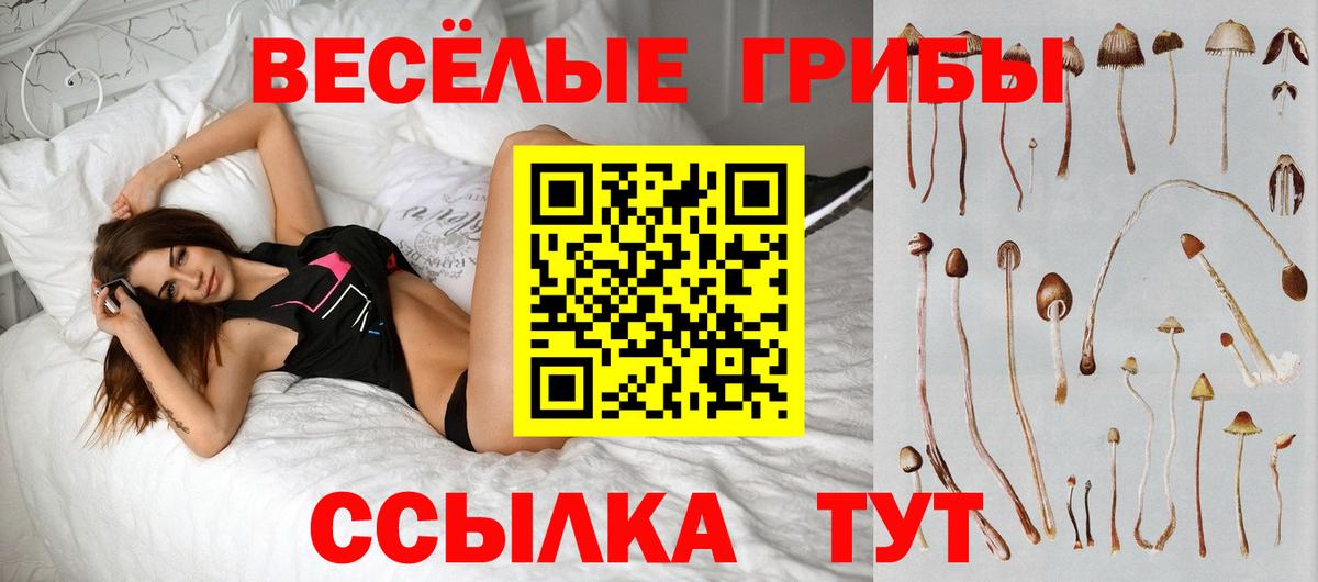 Псилоцибиновые грибы Magic Shrooms  Вход с VPN  Кунгур 