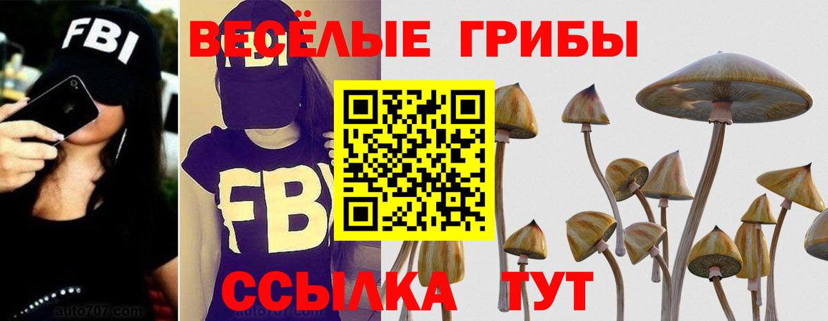 Псилоцибиновые грибы GOLDEN TEACHER Кунгур